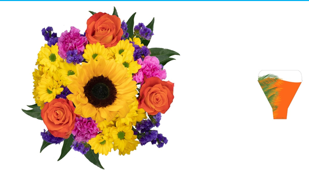 BQT MIX SPE BOX- BQT SUNNY SKIES UP - UB00087197(Bunches)
