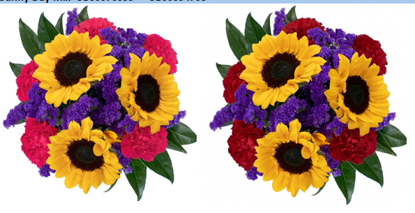 BQT MIX SPE Box -BQ Sunny Day Mix UB00076099 - UB0009470