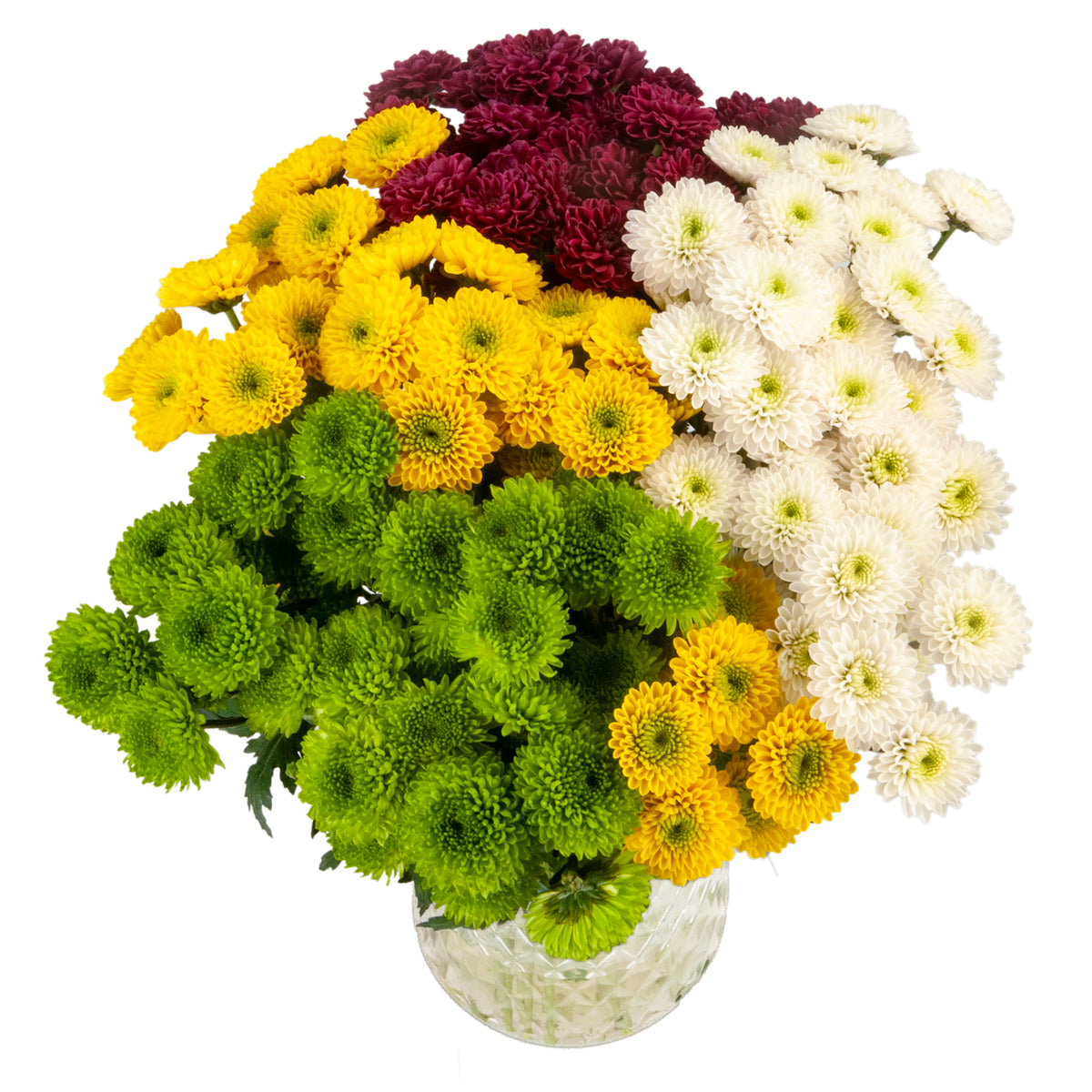 POMPON BUTTON ASSORTED
