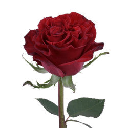 RED ROSES HEARTS 25ST 40cm