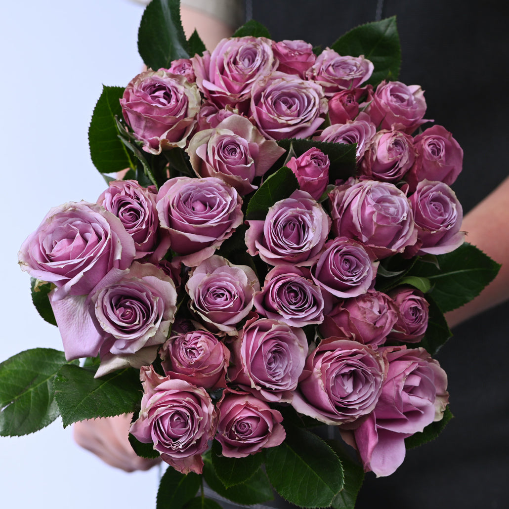 SPRAY ROSES IRISHKA LAVANDER 10ST 50cm