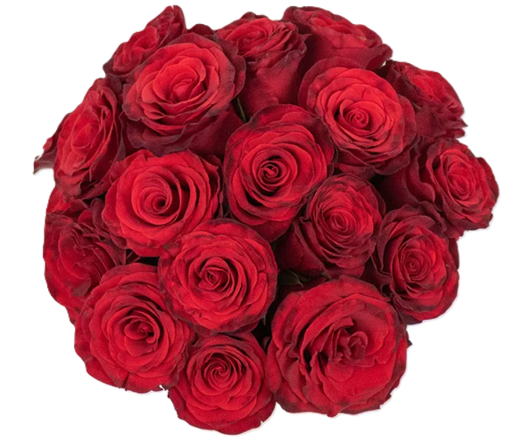 Rosas