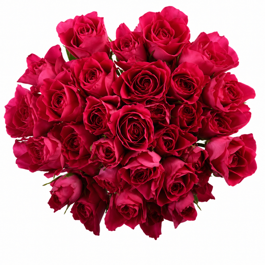 SPRY ROSE SUPERNOVA 50CM