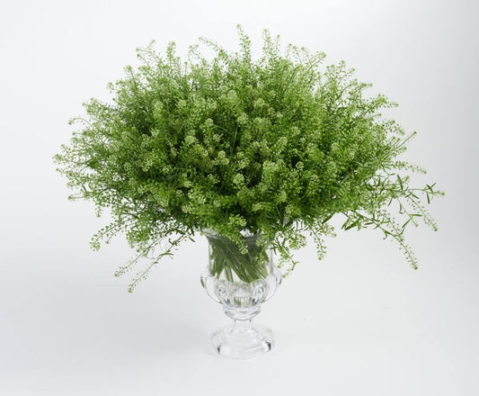 GREEN LEPIDIUM GRN DRAGON 10ST 60