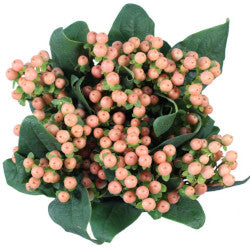 HYPERICUM ROMANCE MELLOW PEACH 10ST 70cm