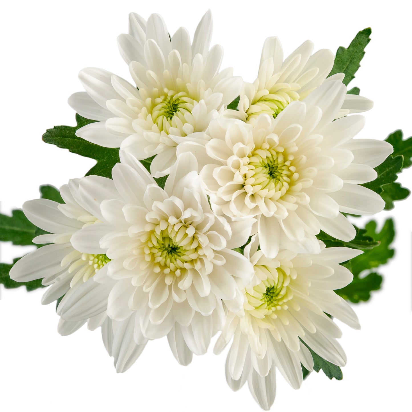 POMPON CUSHION MAISY WHITE