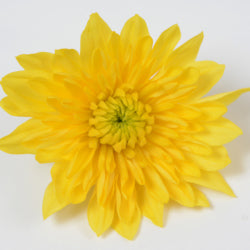 POMPON CUSHION CUSHION POLARIS YELLOW 7ST 70
