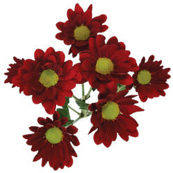 POMPON DAISY NERELLO RED 70cm