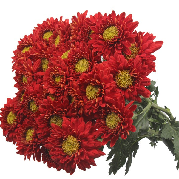 POMPON NOVELTY CANDLE 70cm