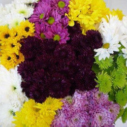 POMPON NOVELTY ASSORTED 7ST 70cm
