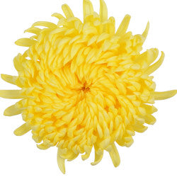 FOOTBALL MAGNUM YELLOW 5ST 70cm