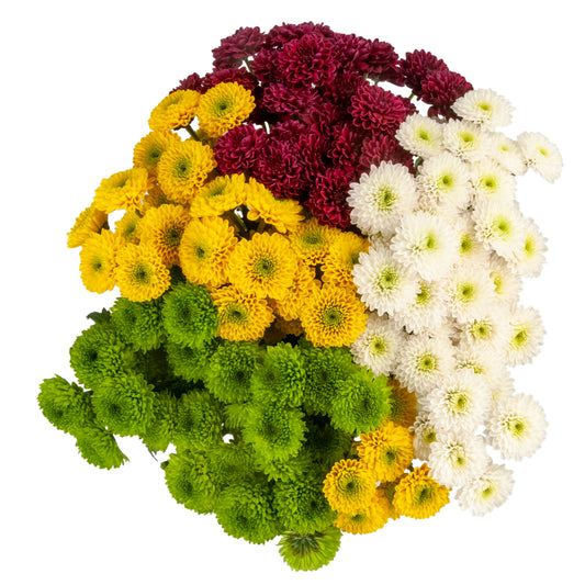 POMPON BUTTON ASSORTED
