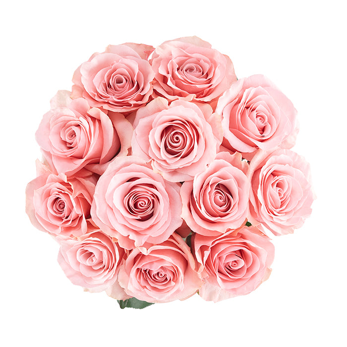 COLOR ROSES BE SWEET LIGHT PINK 25ST 50cm