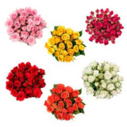 SPRY ROSE 40cm AST Assorted 10 st 10 St(Stems)